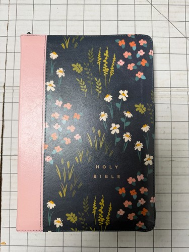 Holy bible new - new, living