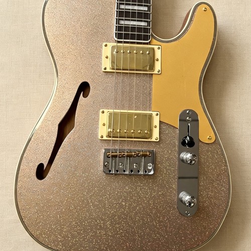 Custom thinline semi hollow - tl,