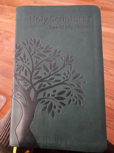 Tlv holy scriptures thinline - holy,