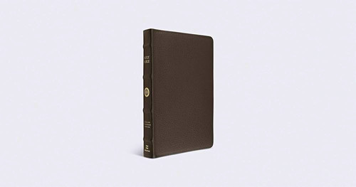 Esv large print thinline - esv,
